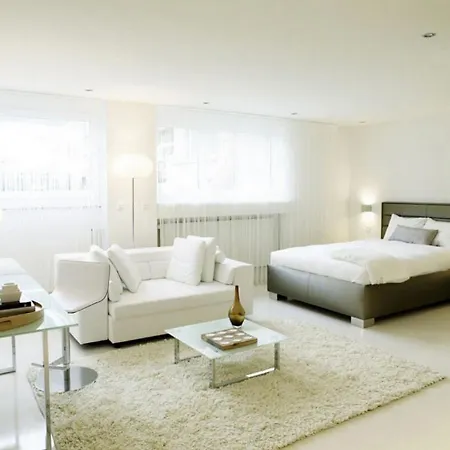 Visionapartments Binzmuehlestrasse 48 - Contactless Check-in 苏黎世
