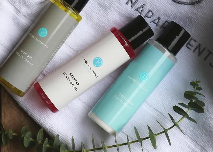 Visionapartments Binzmuehlestrasse 48 - Contactless Check-in Zürich