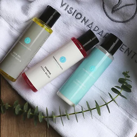 Visionapartments Binzmuehlestrasse 48 - Contactless Check-in Ζυρίχη